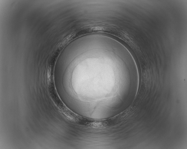 X0000080800406200701051424