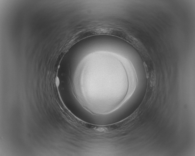 X0000080800409200701051424