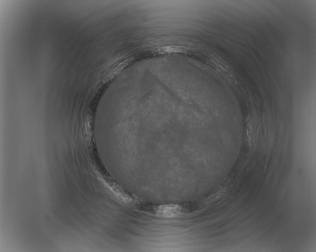 X0000080800410200701051424