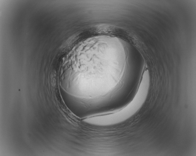 X0000080800413200701051424