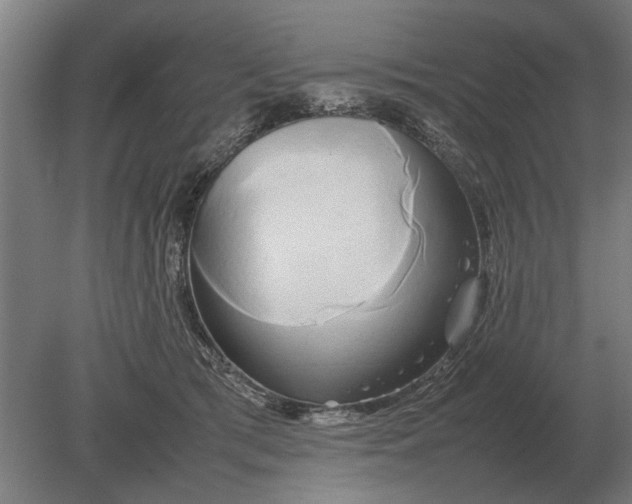 X0000080800417200701051424
