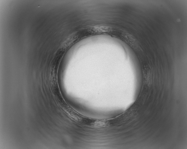 X0000080800418200701051424