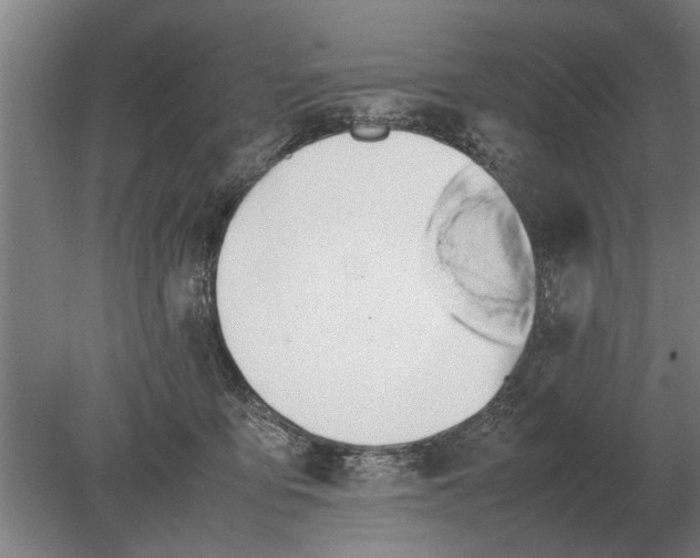 X0000080800419200701051424