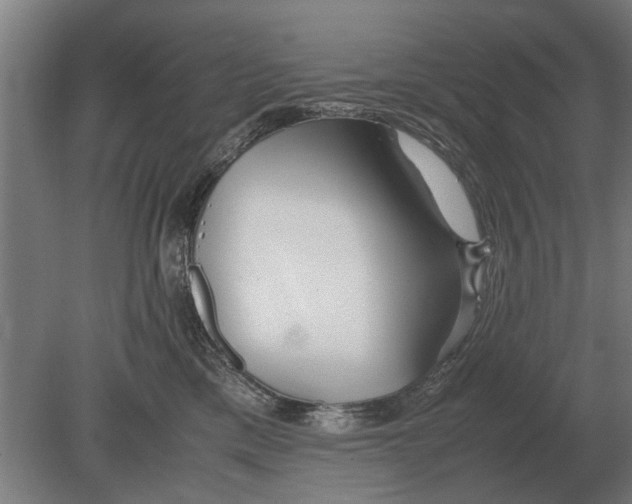 X0000080800425200701051424