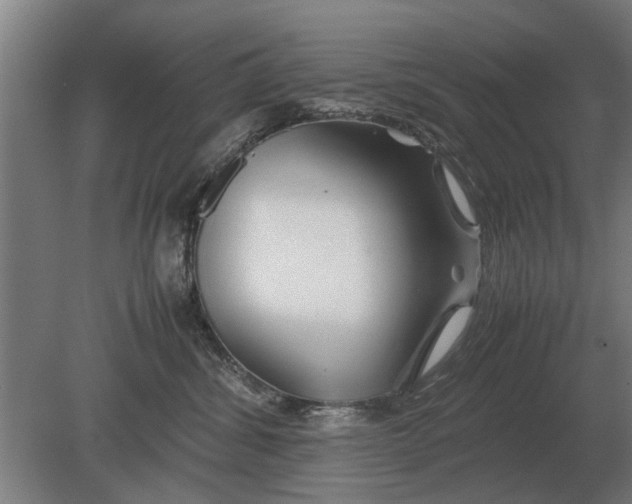 X0000080800428200701051424
