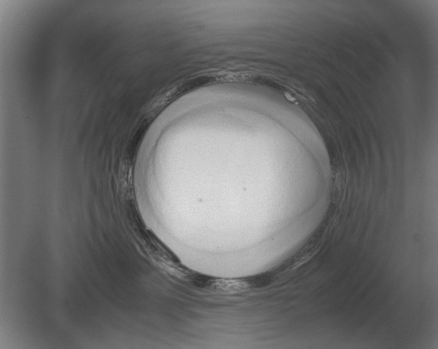 X0000080800429200701051424