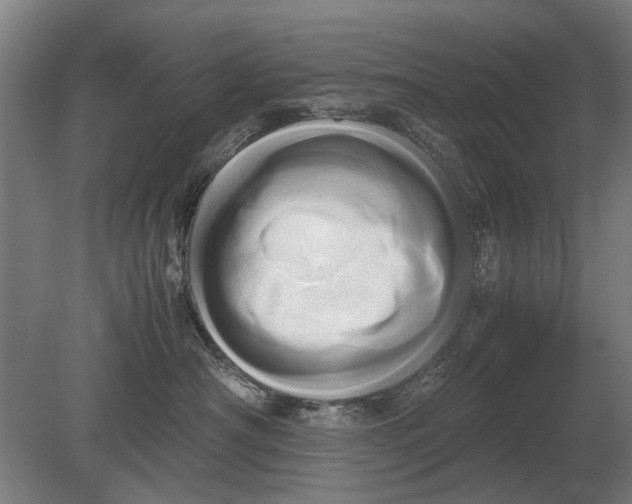 X0000080800430200701051424