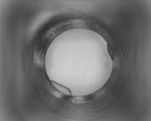 X0000080800431200701051424