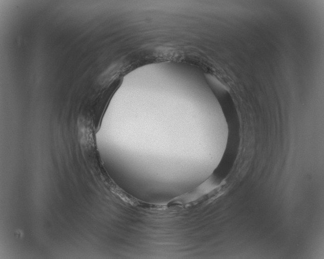 X0000080800432200701051424