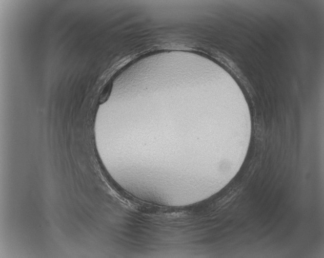 X0000080800433200701051423