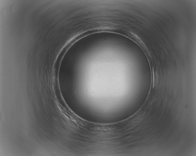 X0000080800435200701051423