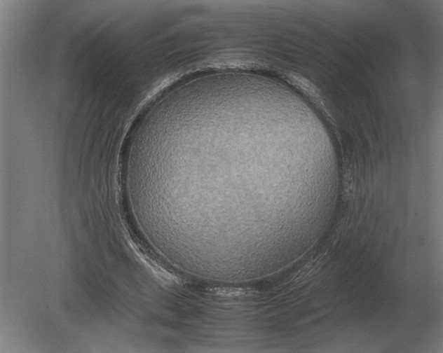 X0000080800439200701051423