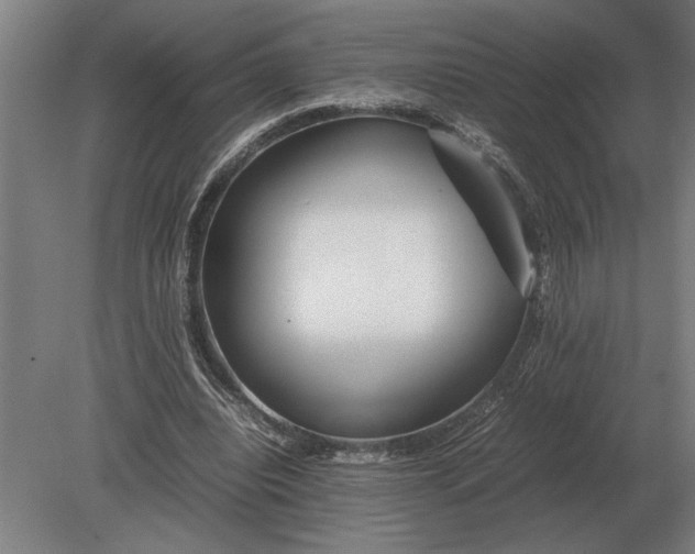 X0000080800440200701051423