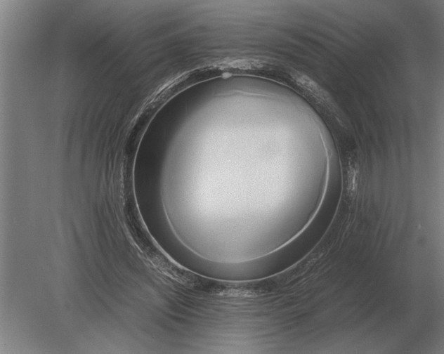 X0000080800444200701051423