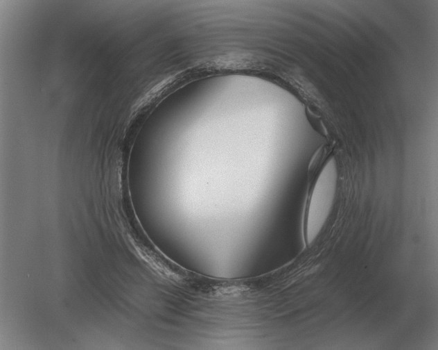 X0000080800446200701051423