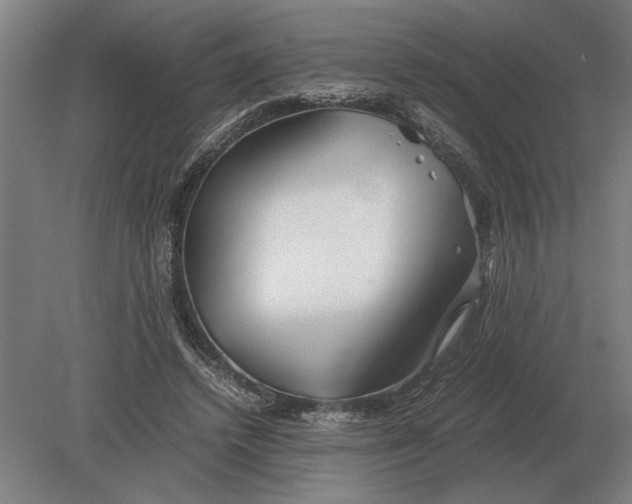 X0000080800448200701051423