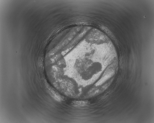 X0000080800449200701051423