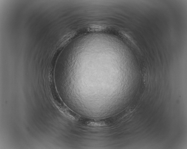 X0000080800455200701051424