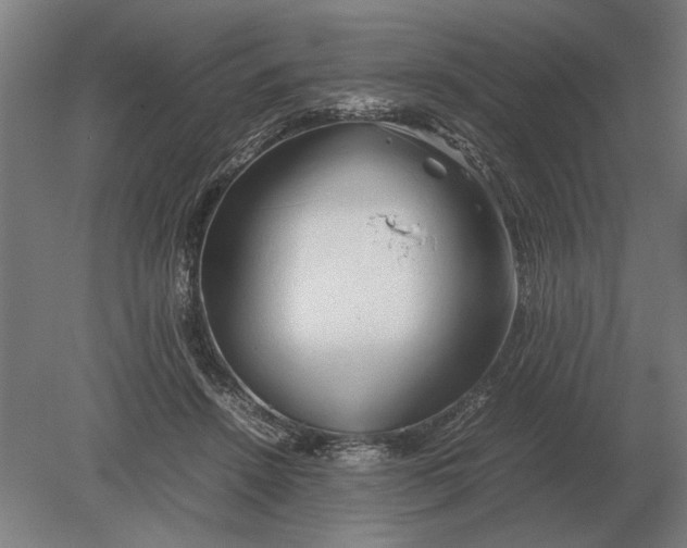 X0000080800456200701051424