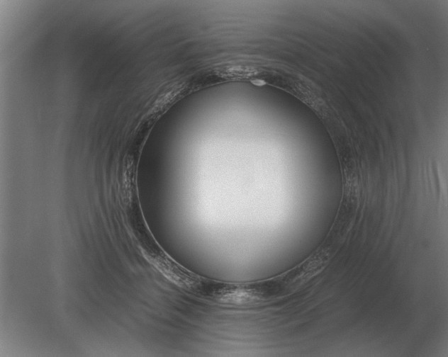 X0000080800460200701051424
