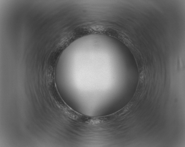 X0000080800464200701051424