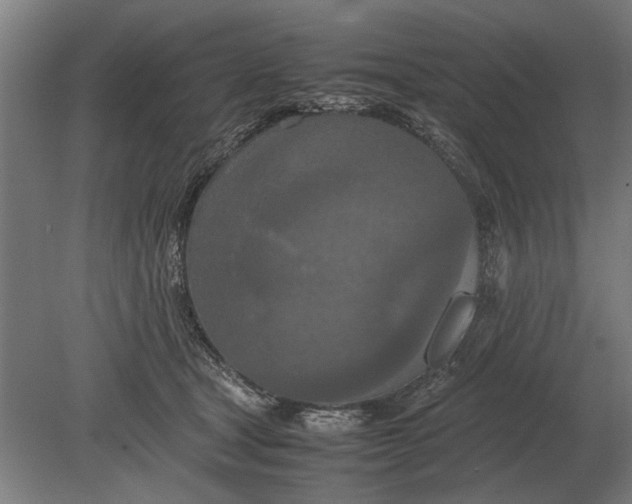 X0000080800465200701051424