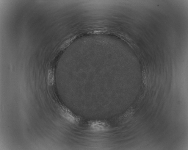 X0000080800471200701051424