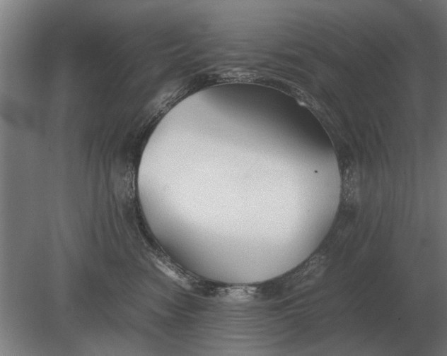 X0000080800474200701051424