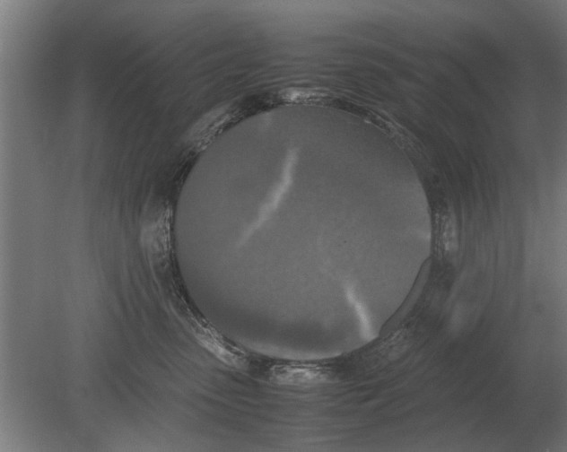 X0000080800475200701051424