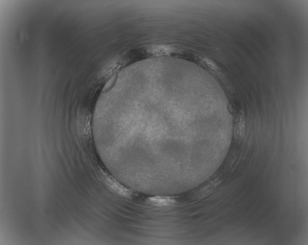 X0000080800477200701051424