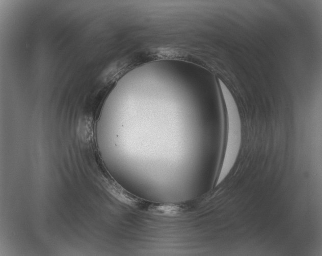 X0000080800478200701051424