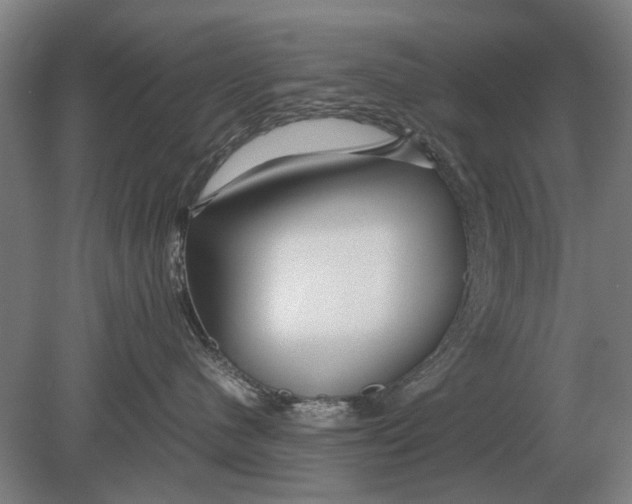 X0000080800480200701051424