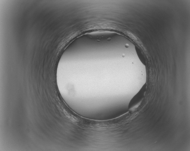 X0000080800481200701051423