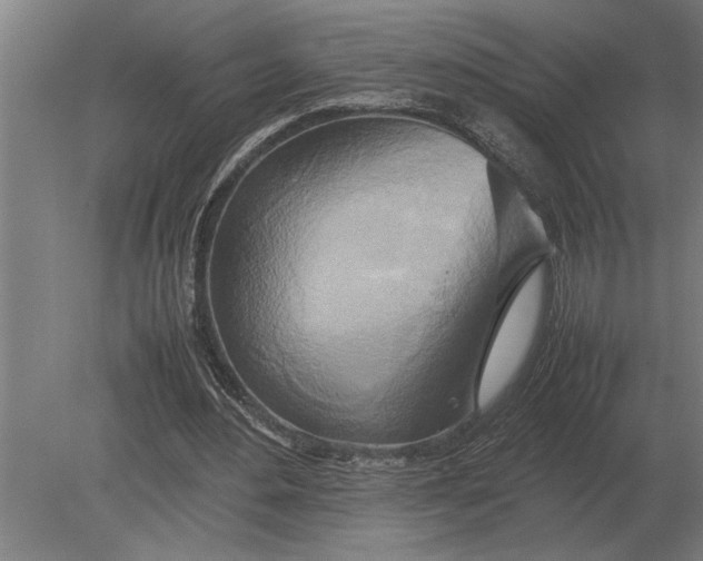 X0000080800484200701051423