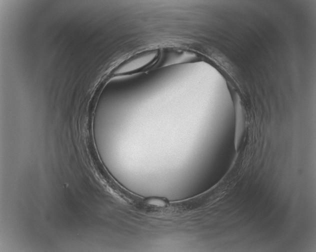 X0000080800485200701051423