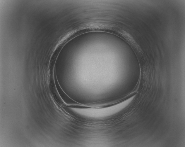 X0000080800488200701051423