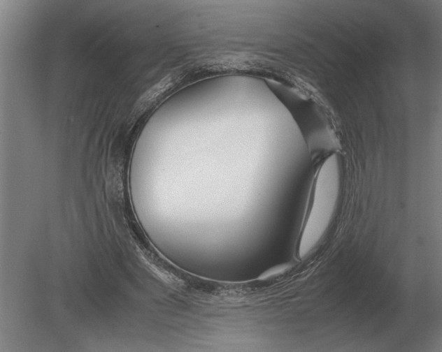 X0000080800489200701051423