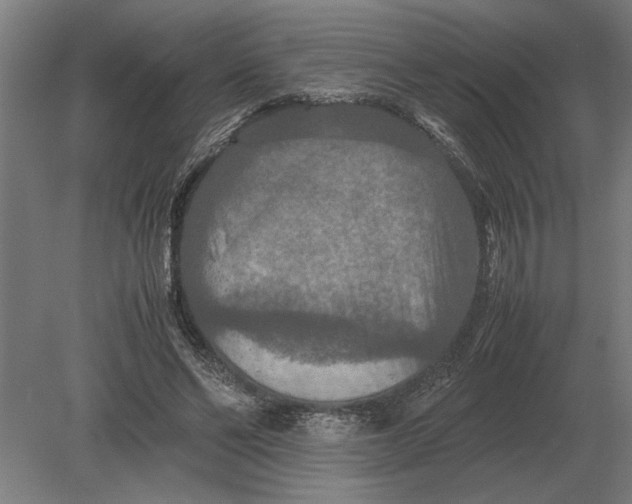 X0000080800494200701051423