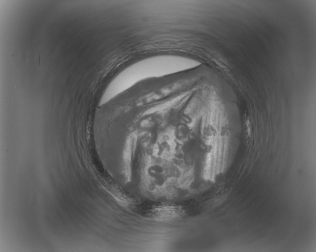 X0000080800499200701051423