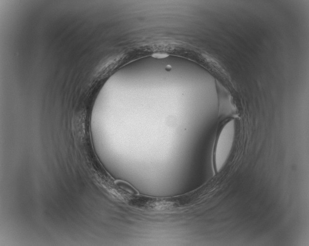 X0000080800501200701051423
