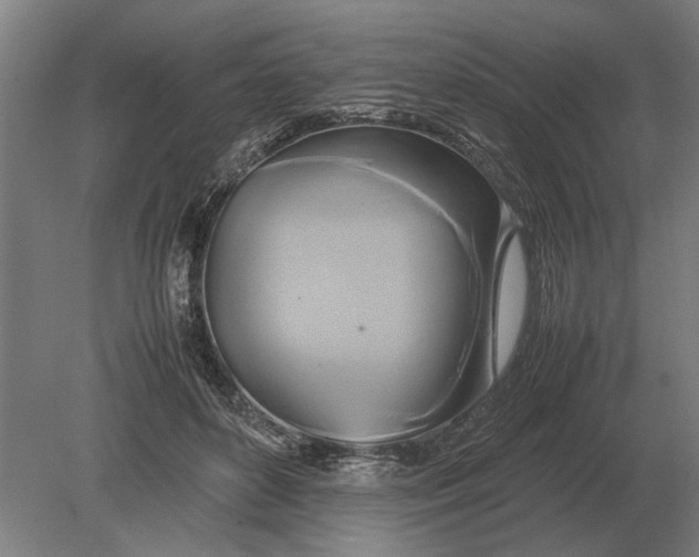 X0000080800504200701051423