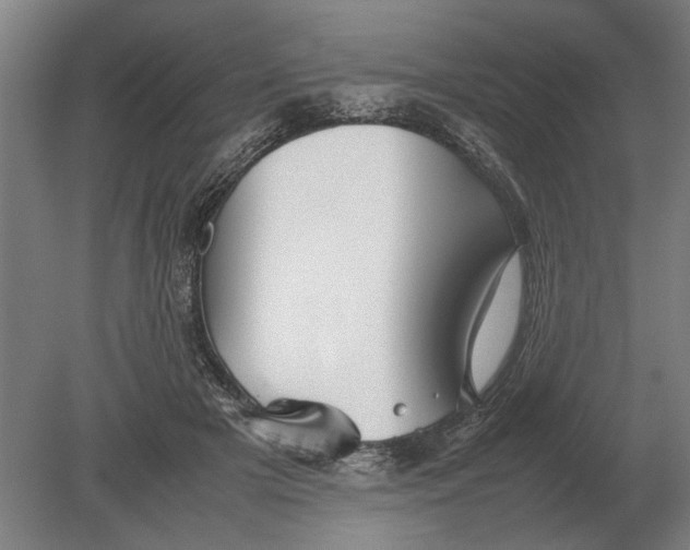 X0000080800505200701051423