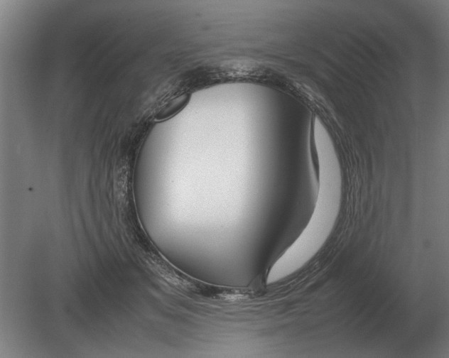 X0000080800509200701051423