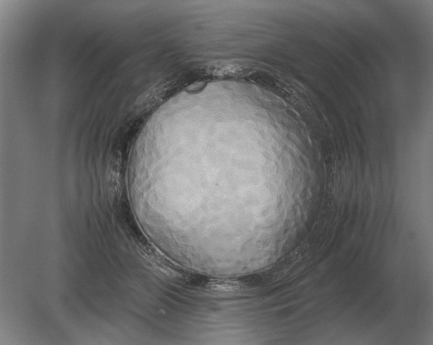 X0000080800510200701051423