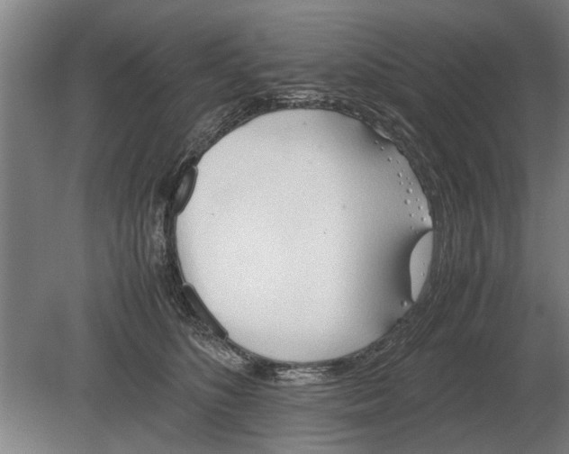 X0000080800516200701051423