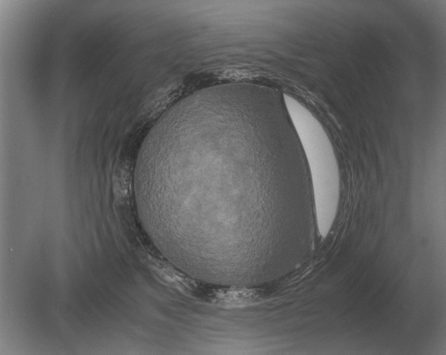 X0000080800517200701051423