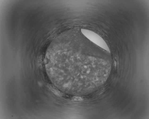 X0000080800519200701051423