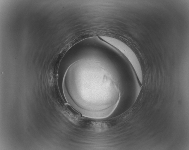 X0000080800520200701051423