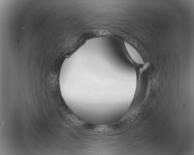 X0000080800521200701051423