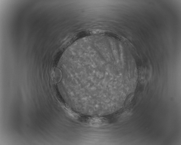 X0000080800523200701051422